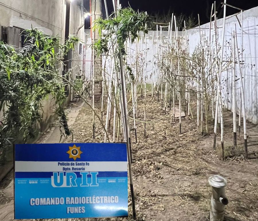 Policía entró a una casa en Funes y encontró 11 kilos de cogollos de marihuana